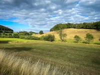 A hilly landscape in the eventing sun with bushes, grasm, and small trees