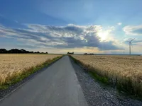 A straight road into the evening sun with corn fields aside