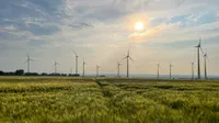 The Paderborn plateau in the evening sun with a barley field and wind turbines.