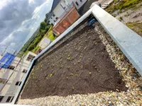 The rooftop at the 26th of August, after removing the thistles.