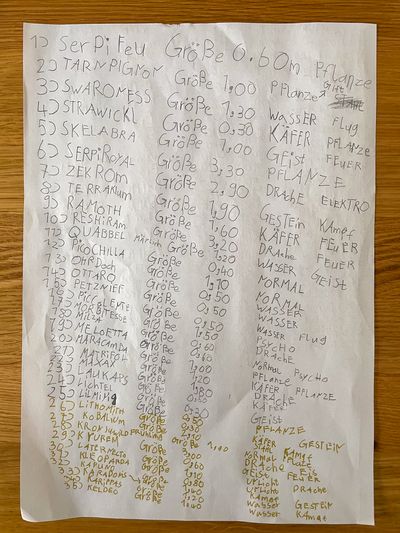 A dense handwritten paper with names of Pokemons. Each Pokemon with its size and type (like fire, plant, ghost, and so on)