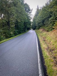 An ascending wet road through dense forest