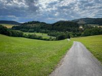Hilly summer landscape with a curvy road pointing down
