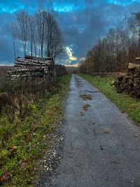 A paved forest road