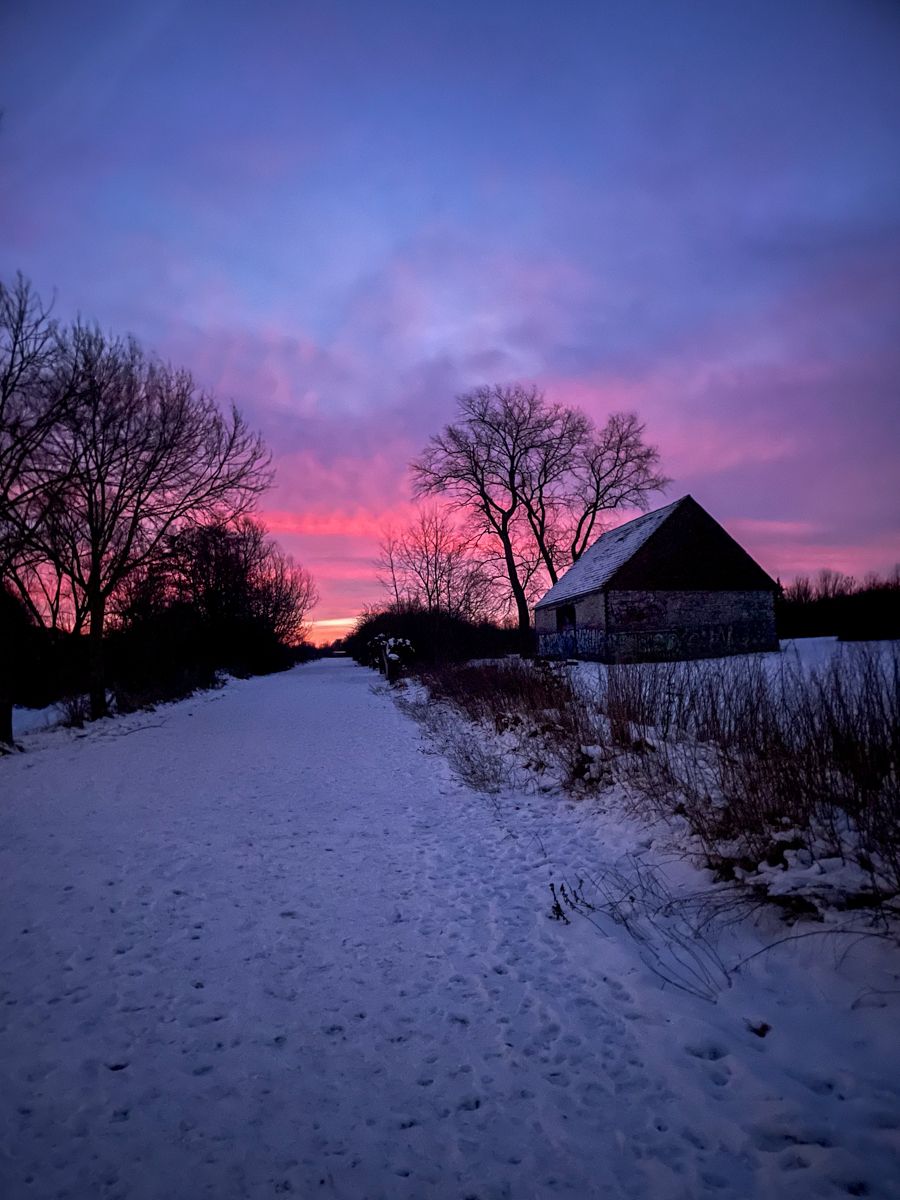 A straight uphill path in the snow with a shed at the right side of the path. It´s dark dawn with purple and pink skies.