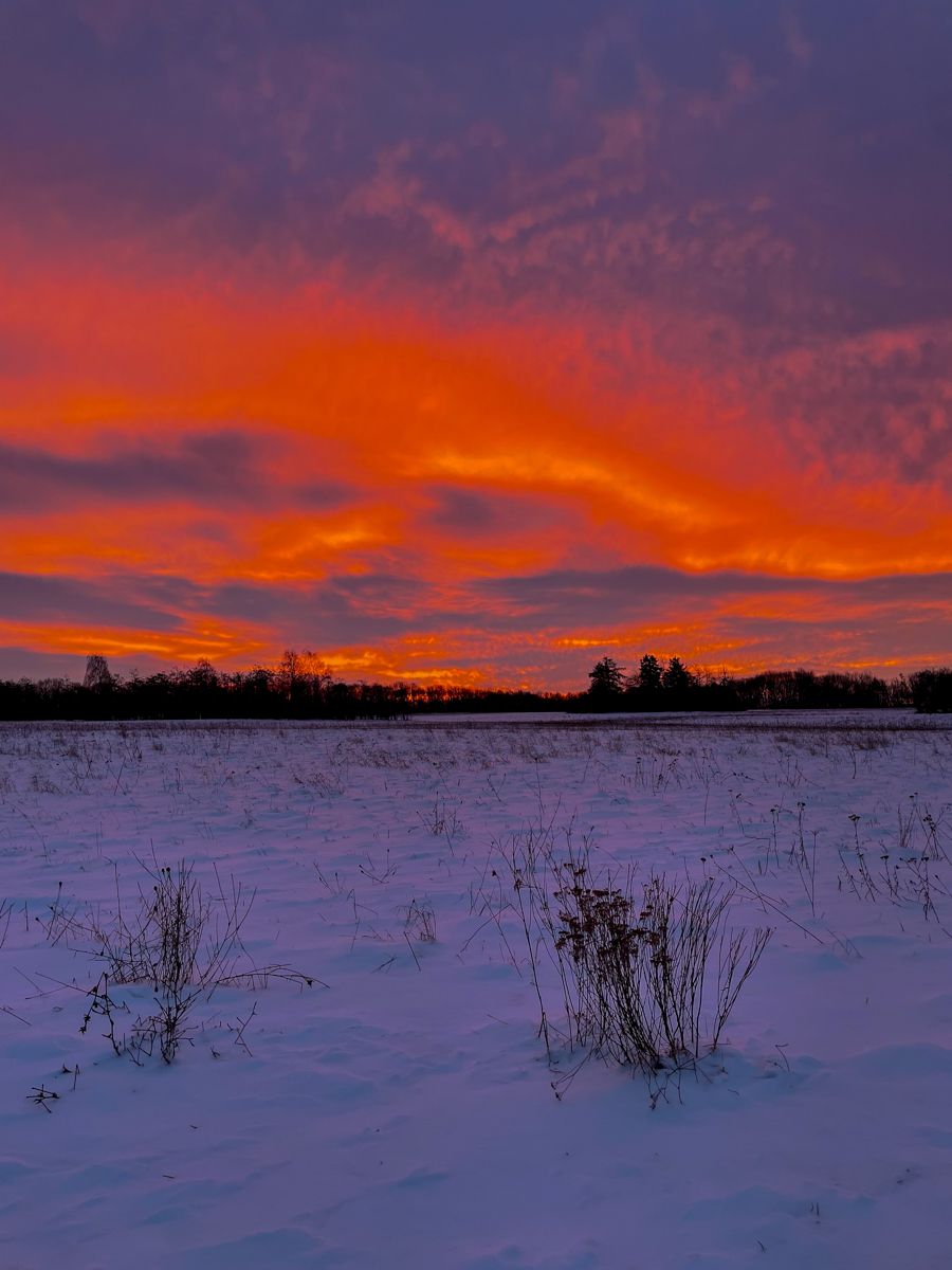 A wide snow field with a very dark line of trees at the horizon and intense orange-red-purple cloudy skies.