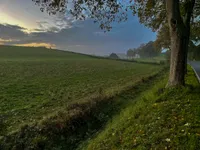 A green meadow with a hut in the evening mist.