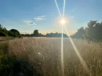 Intense sunset with a bright white sun and a field of grass