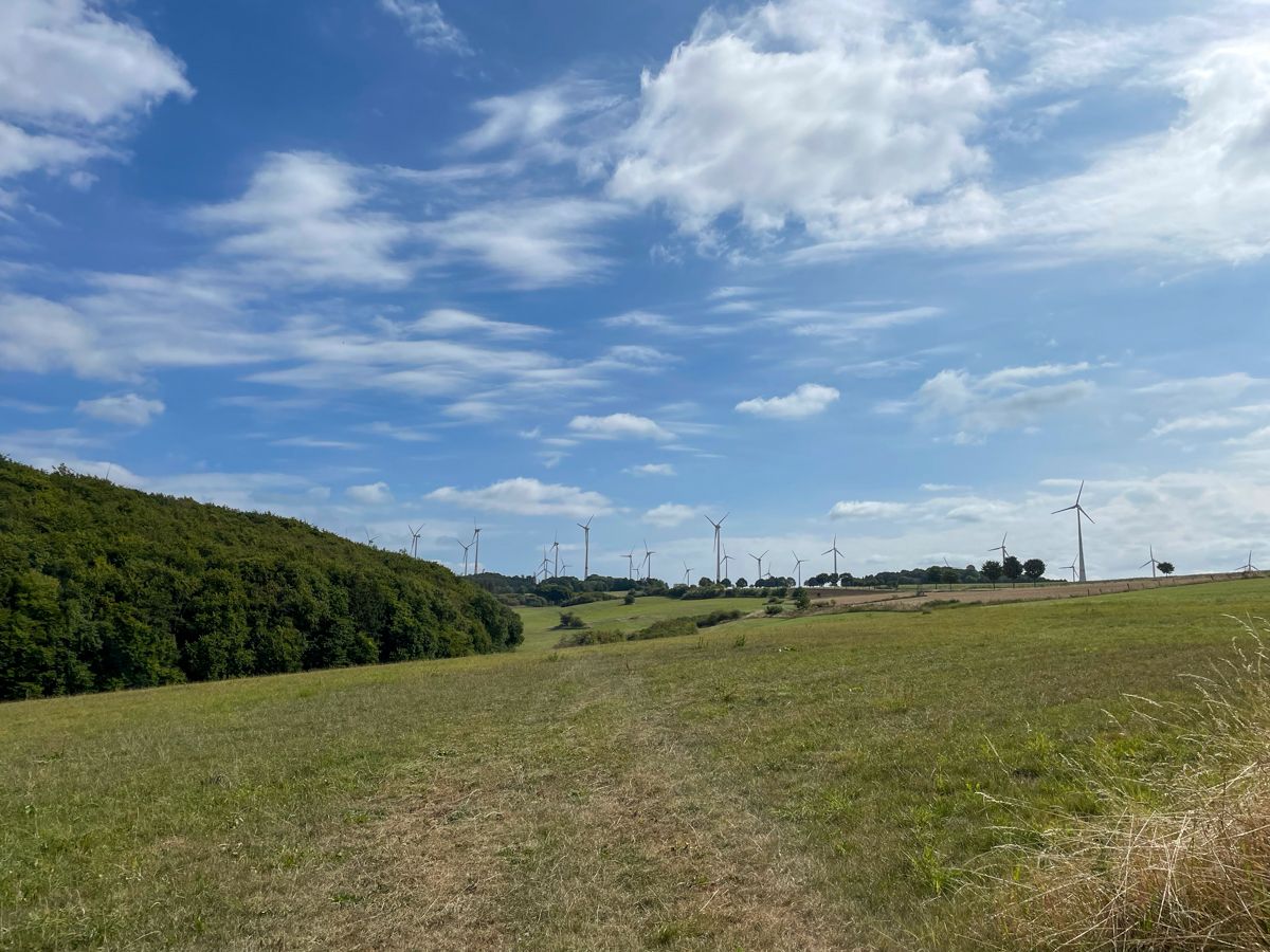 Paderborn, Velmerstot, Silbermühle, Externsteine, Gauseköte, Kohlstädt ...