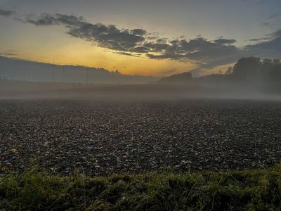 A field in the dense evening mist.