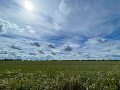 A wide-angle photograph of a vast field and a cloudy but sunny sky.